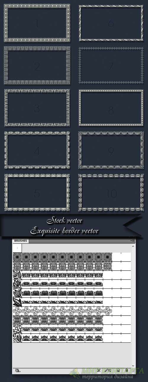 Exquisite border vector