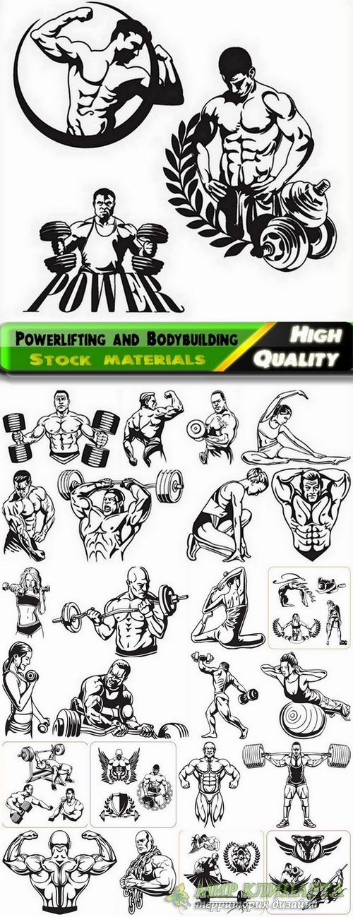 Powerlifting and Bodybuilding in vector from stock - 25 Eps