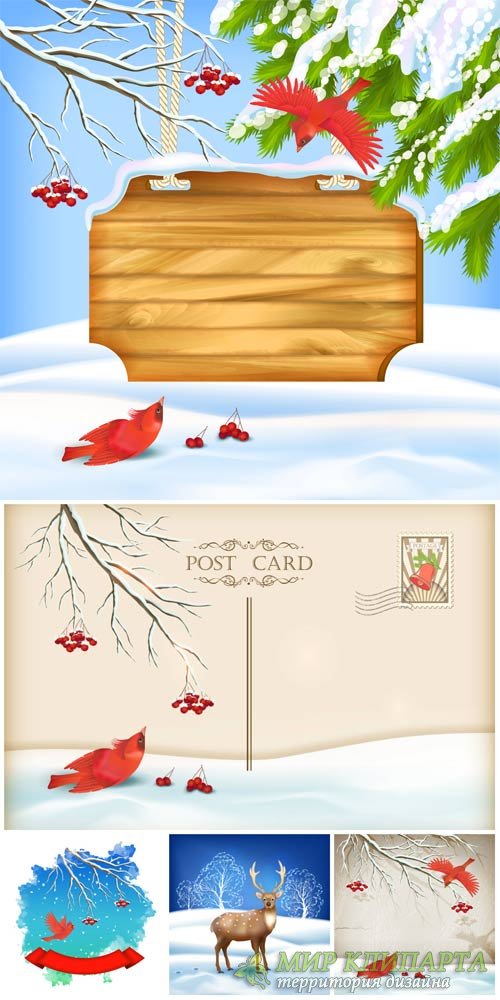 Зимние фоны с птицами, вектор / Winter background with birds, vector
