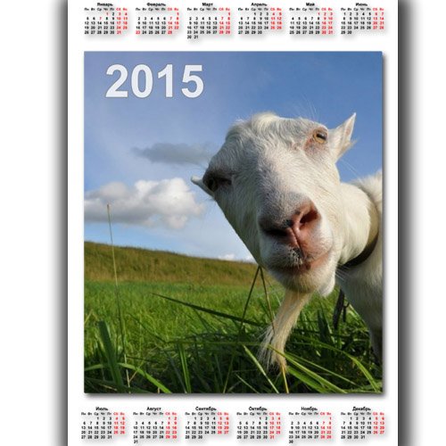  Календарь - Коза в объективе 