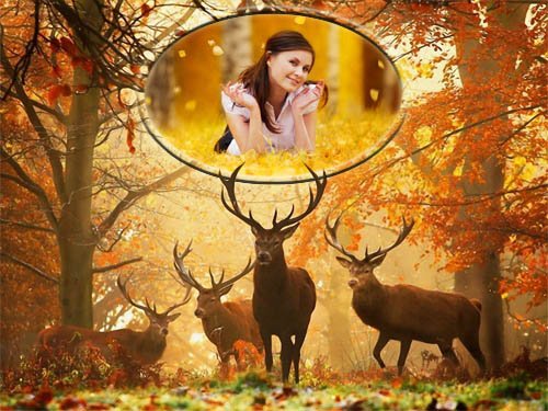  Рамка для фотографии - Осенью в лесу 