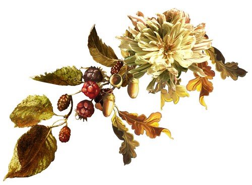 Винтажная осень - рамки и кластеры с листьями и цветами в винтажном стиле 