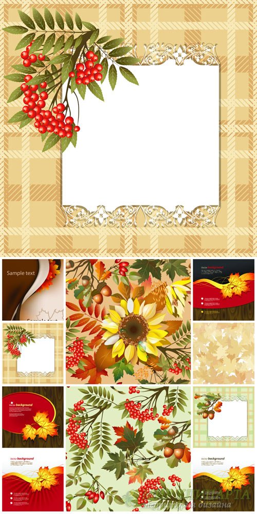 Осенний вектор, желтые листья, рябина, подсолнух / Autumn vector, yellow leaves, rowan, sunflower