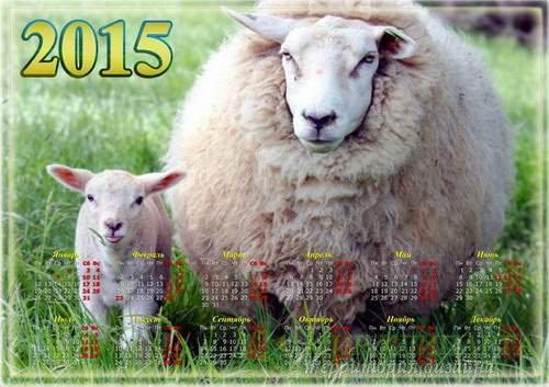 Настенный календарь на 2015 год с овечками 