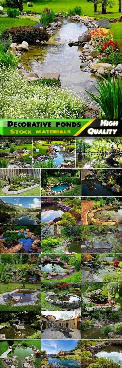 Decorative ponds in the garden and in nature - 25 HQ Jpg