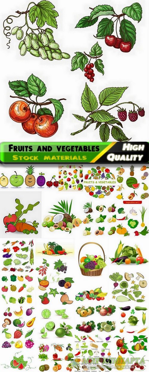 Vector fruits and vegetables from stock - 25 Eps