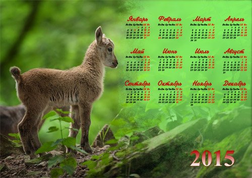  Календарь 2015 - Крошечный козленок 