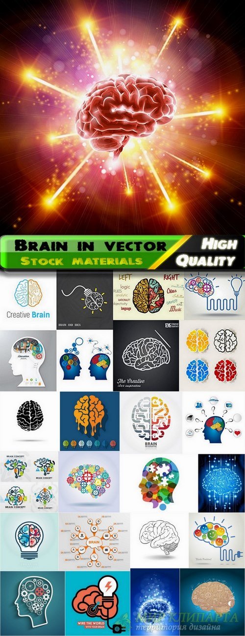 Brain in vector business concept from stock - 25 Eps
