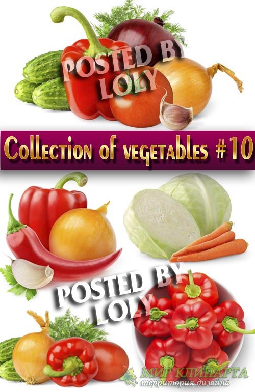 Еда. Мега коллекция. Овощи #10 - Растровый клипарт
