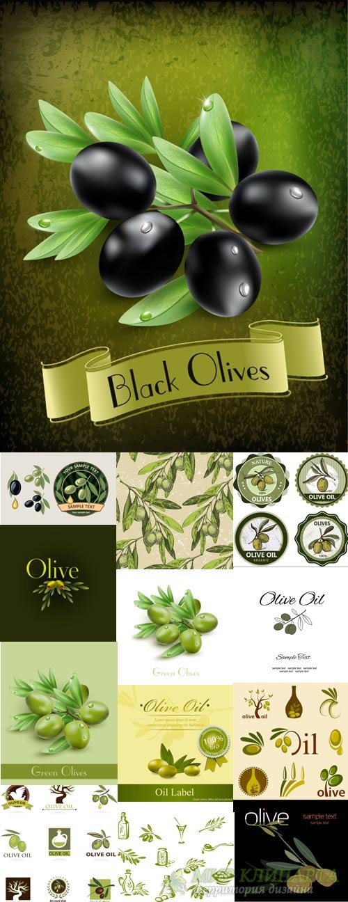 Green and black olives, olive oil