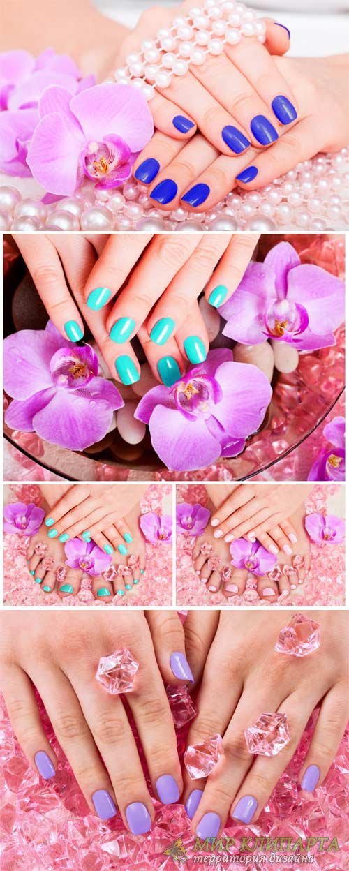 Manicure and pedicure, female hands # 2 - Stock Photo