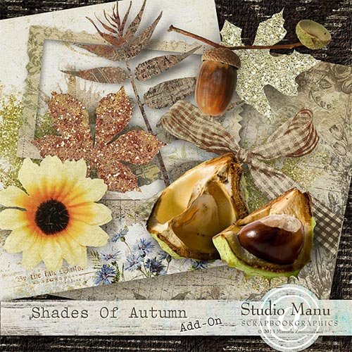 Скрап-набор - Shades Of Autumn