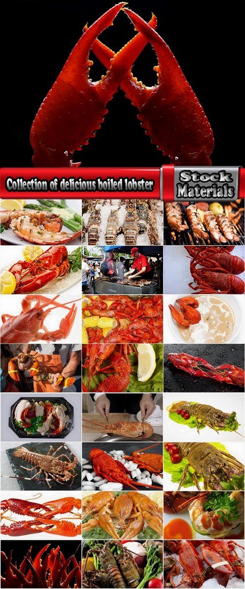 Collection of delicious boiled lobster 25 UHQ Jpeg