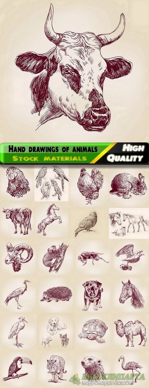 Hand drawings of animals in vector from stock - 25 Eps