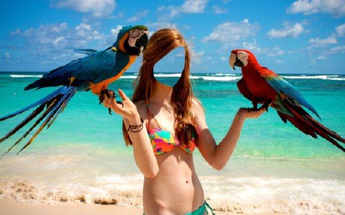  Женский шаблон - Фото с 2-мя классными попугаями 
