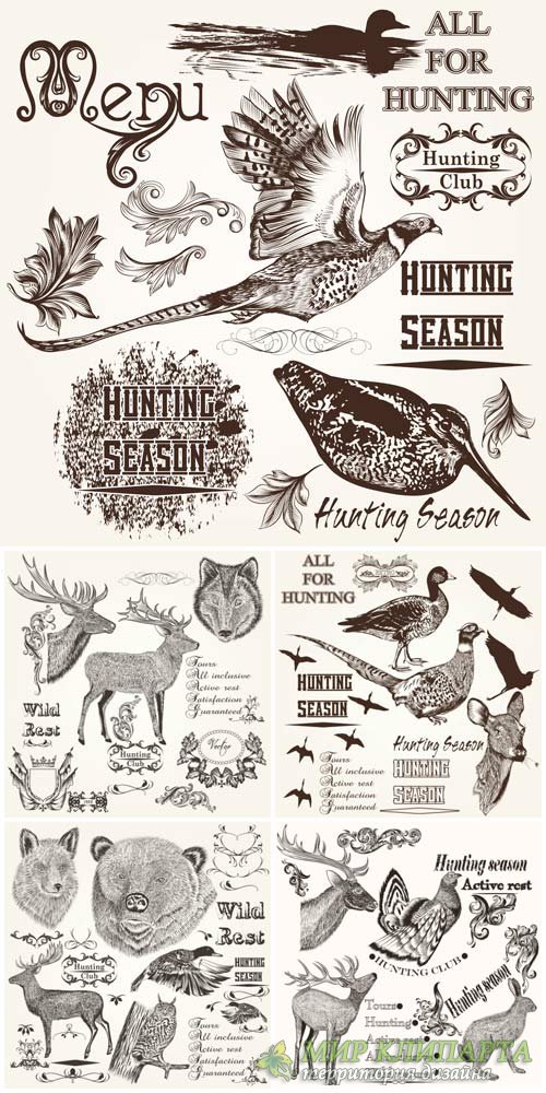 Animals and birds in vector, design decorative elements