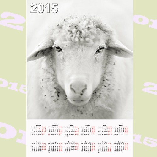  Настенный календарь - Белая овечка 