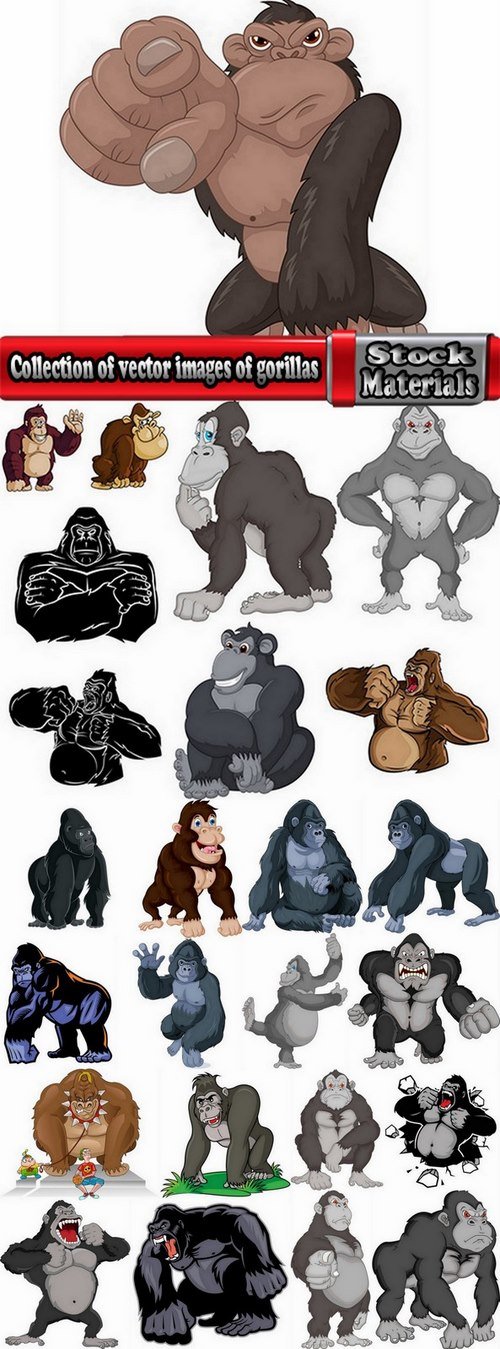 Collection of vector images of gorillas 25 Eps