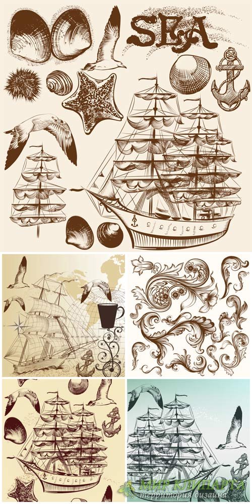 Marine vector, decorative elements