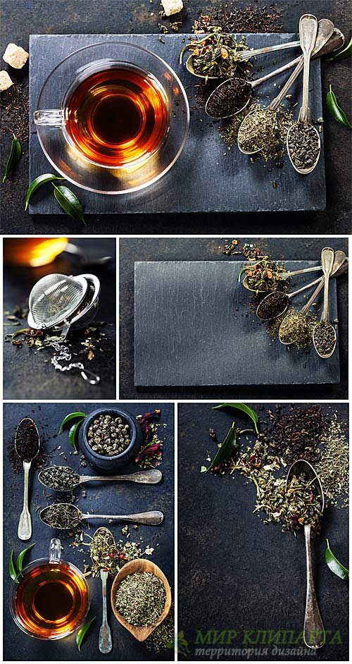 Tea, backgrounds with different kinds of tea - stock photos