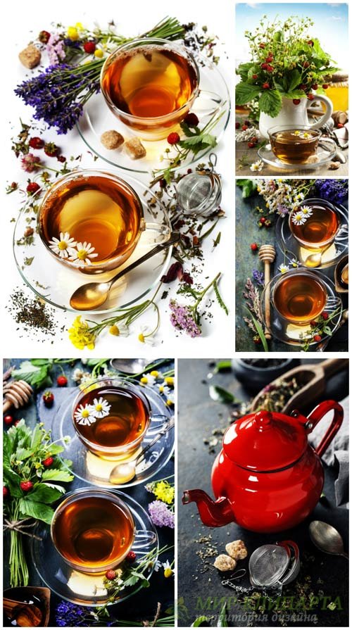 Tea with berries and herbs - Stock Photo
