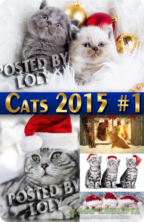 Новогодние котики 2015 #1 - Векторный клипарт