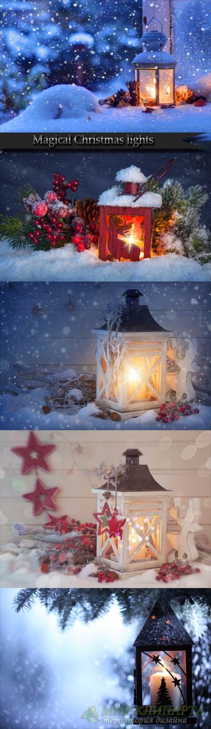 Magical Christmas lights