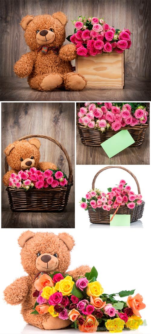 Teddy bear with a basket of roses - stock photos