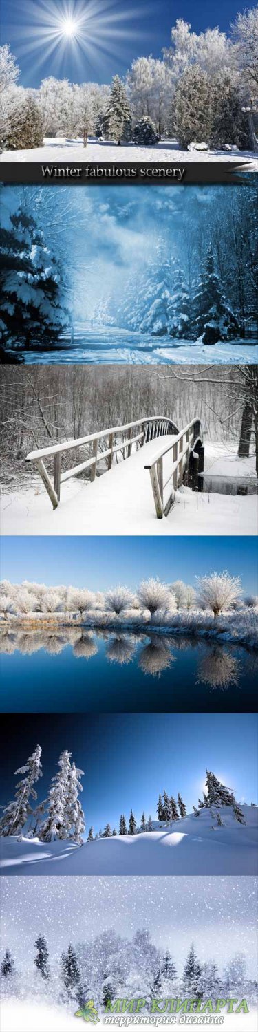 Winter fabulous scenery