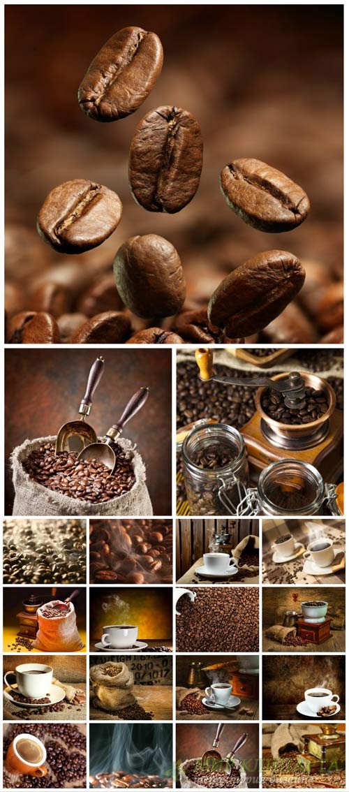 Coffee, coffee beans and a cup of coffee - stock photos