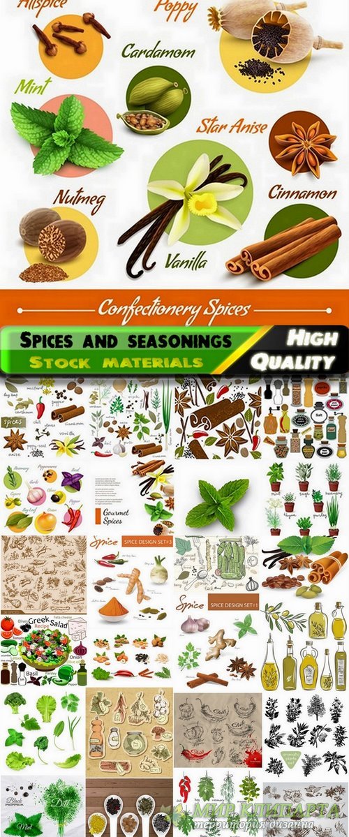Different spices and seasonings for food - 25 Eps
