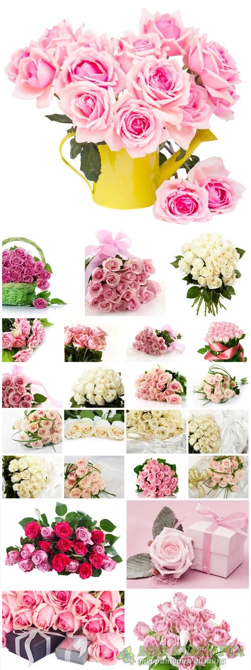 Beautiful roses, bouquets, flowers - Stock Photo