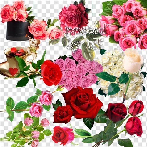  Клипарт без фона - Почему так сладко пахнут розы